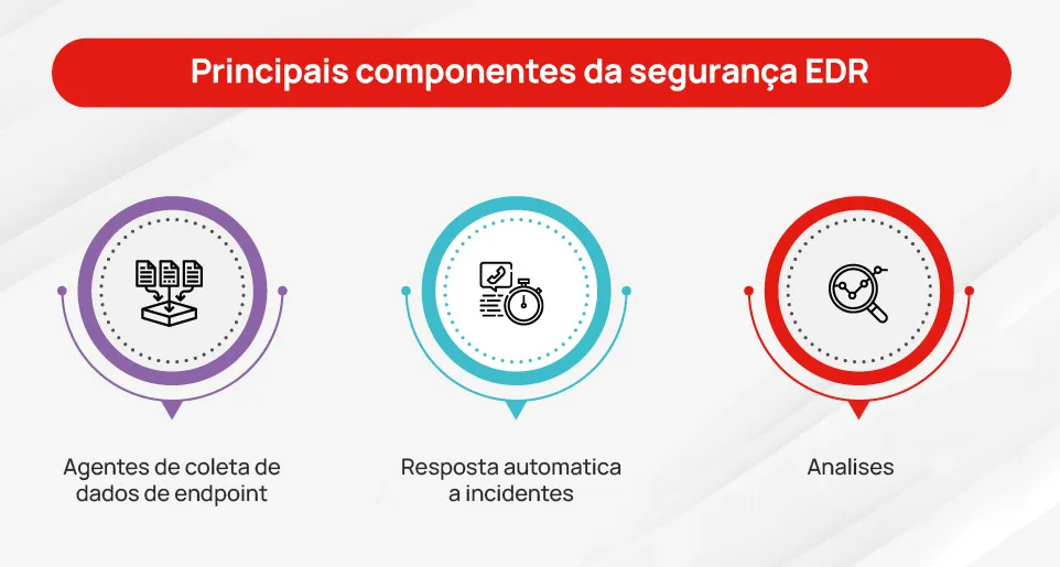 componentes-edr